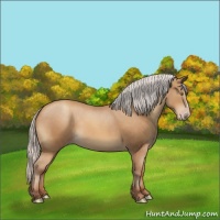 Horse Color:Silver Sable Champagne
