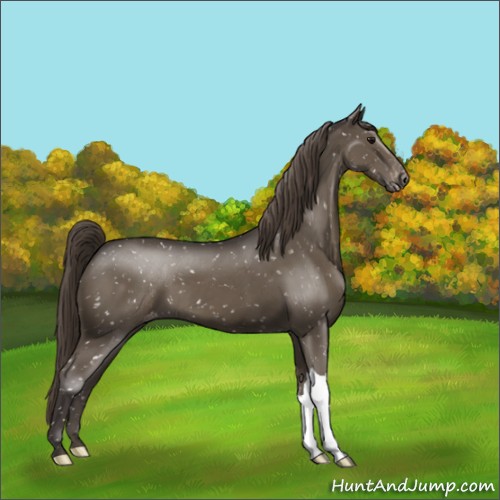 Horse Color:Smoky Black Snowflake Varnish