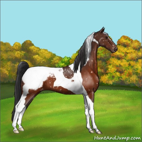 Horse Color:Brown Tobiano Snowcap 