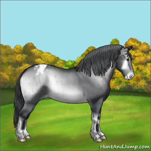 Horse Color:Brown Chinchilla Onyx Varnish Brindle