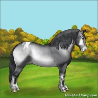 Horse Color:Brown Chinchilla Onyx Varnish Brindle 