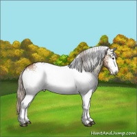 Horse Color:White Spotted Silver Bay Onyx Brindle