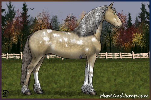 Horse Color:White Spotted Chocolate Palomino Dun Tobiano Rabicano 