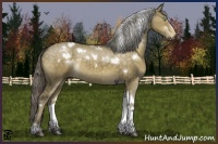 Horse Color:White Spotted Chocolate Palomino Dun Tobiano Rabicano