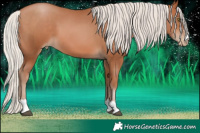 Horse Color:Silver Brown Pearl