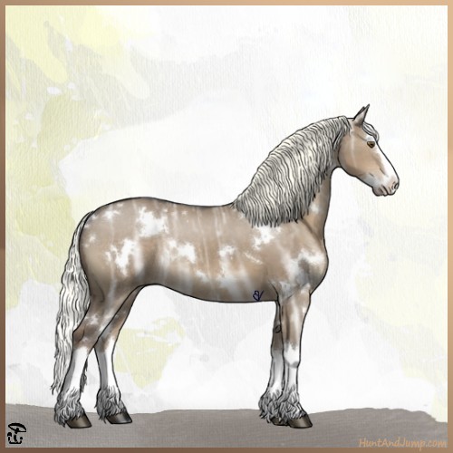 Horse Color:White Spotted Liver Red Dun Ice Splash Rabicano 