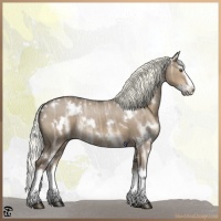 Horse Color:White Spotted Liver Red Dun Ice Splash Rabicano 