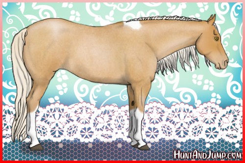 Horse Color:Silver Bay Roan Pearl Tobiano