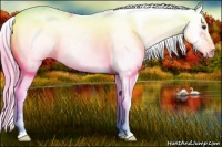 Horse Color:Watercolor Chestnut Sabino Appaloosa 