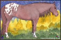 Horse Color:Watercolor Chestnut Appaloosa 
