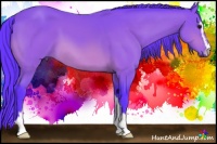 Horse Color:Watercolor Bay Sabino 