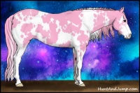 Horse Color:Watercolor White Spotted Black Sabino