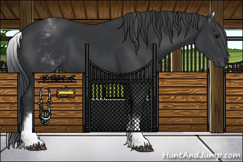 Horse Color:White Spotted Black 