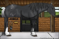 Horse Color:White Spotted Black 