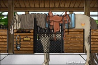 Horse Color:Classic Cream Champagne 