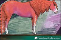 Horse Color:Watercolor White Spotted Liver Chestnut Splash 