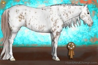 Horse Color:White Spotted Classic Champagne Appaloosa  and Classic Champagne Appaloosa 