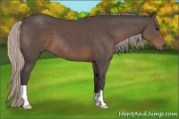 Horse Color:Silver Black 
