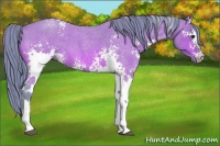 Horse Color:Watercolor White Spotted Bay Roan 