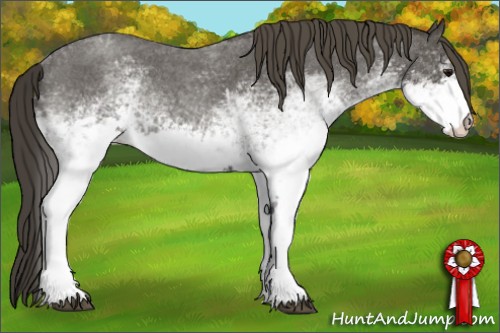 Horse Color:White Spotted Smoky Blue Roan Rabicano 