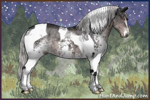 Horse Color:Gray White Spotted Silver Black Chinchilla Tobiano 