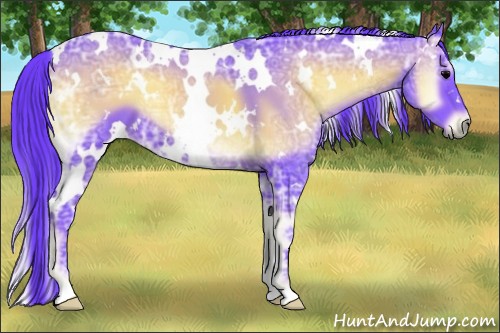 Horse Color:Watercolor White Spotted Blue Onyx Ice