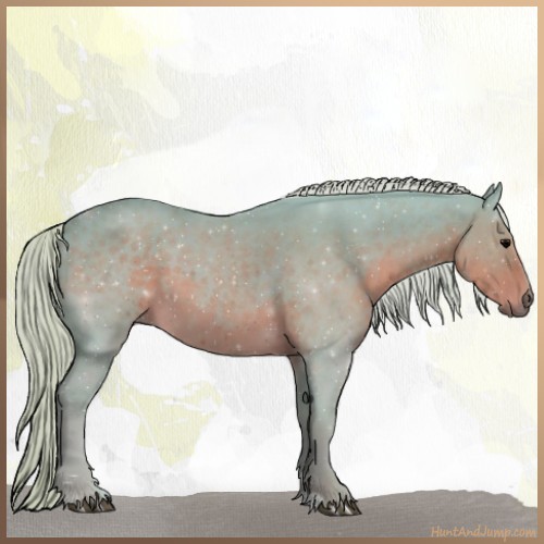 Horse Color:Watercolor Silver Black Sabino 