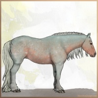 Horse Color:Watercolor Silver Black Sabino 