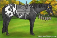 Horse Color:Black Appaloosa