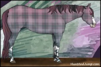 Horse Color:Plaid  Grullo Chinchilla Sabino Splash 