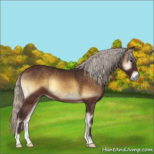 Horse Color:Silver Brown Onyx 
