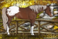 Horse Color:Silver Brown Snowcap 