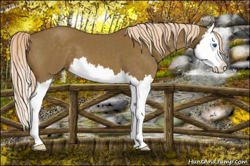 Horse Color:Chocolate Palomino Splash 