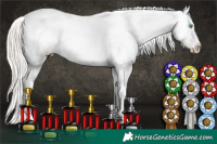 Horse Color:White Spotted Chocolate Palomino Pearl Appaloosa