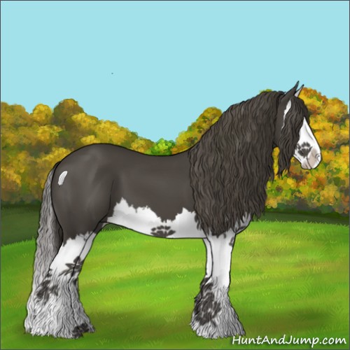Horse Color:Smoky Black Splash 