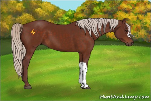 Horse Color:Chocolate Silver Bay 