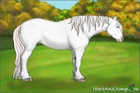 Horse Color:White Spotted Smoky Creme Dun 