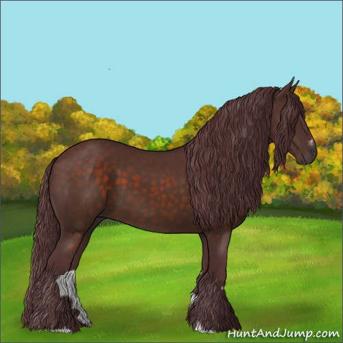 Horse Color:Chocolate Brown Sabino 
