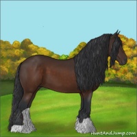 Horse Color:Brown 
