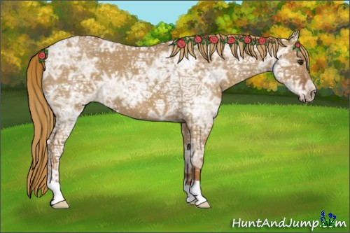Horse Color:Red Dun Ice
