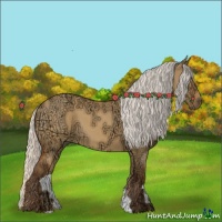 Horse Color:Silver Buckskin Ice Dun 