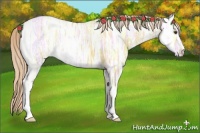 Horse Color:Palomino Ice Dun 