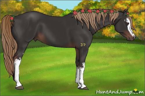 Horse Color:White Spotted Liver Chestnut 