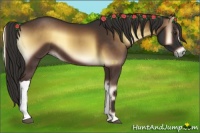 Horse Color:Liver Red Onyx
