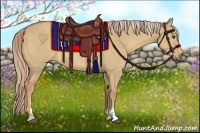 Horse Color:Palomino Dun Sabino 