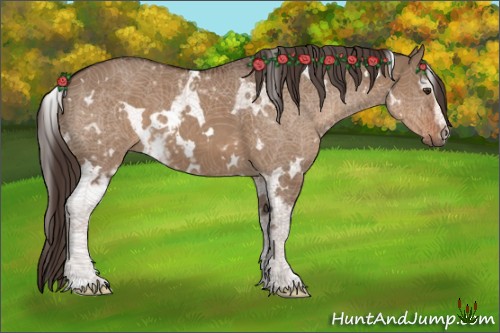 Horse Color:White Spotted Liver Red Dun 