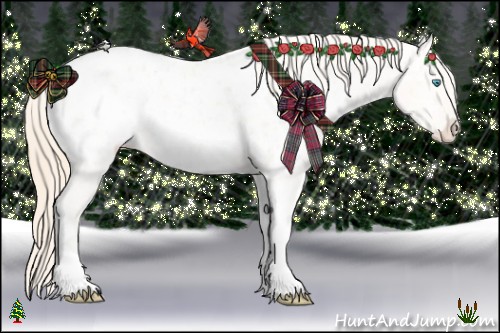 Horse Color:Perlino Dun Tobiano Appaloosa Rabicano 