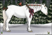 Horse Color:Perlino Dun Tobiano Appaloosa Rabicano