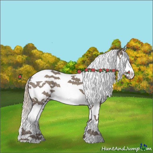 Horse Color:Silver Grullo Splash Tobiano 