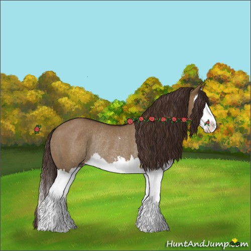 Horse Color:Liver Red Dun Sabino Splash Rabicano